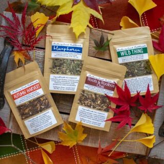 Image for Fall Tea Collection 