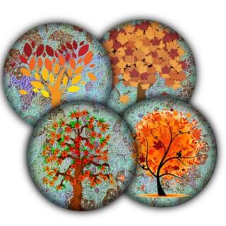 Image for Crisp Fall/Autumn Trees Drink Coasters