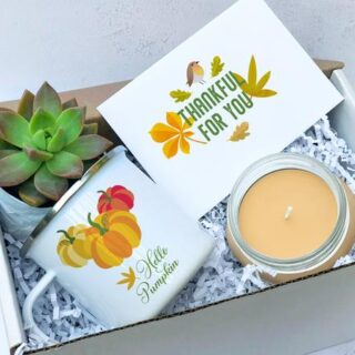 Image for Succulent Gift Box 