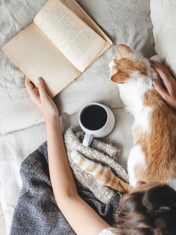 woman-with-a-cat-in-bed-reading
