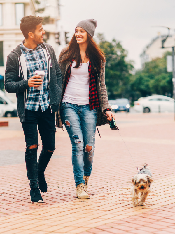 beating the winter blues by walking the dog