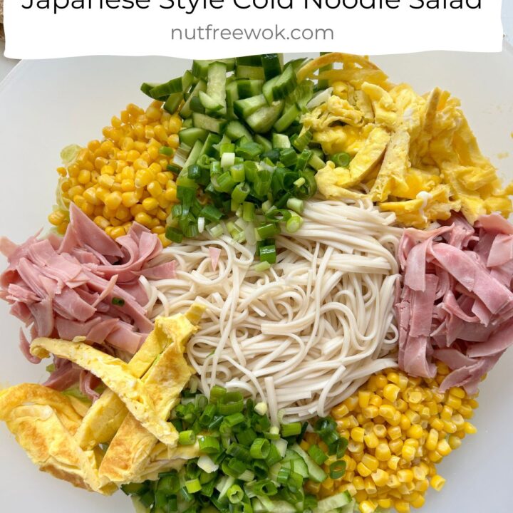 Image for Hiyashi Chuka: Japanese Style Cold Noodle Salad