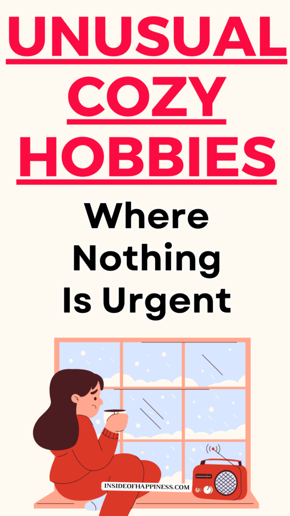 unusual cozy hobbies for adults